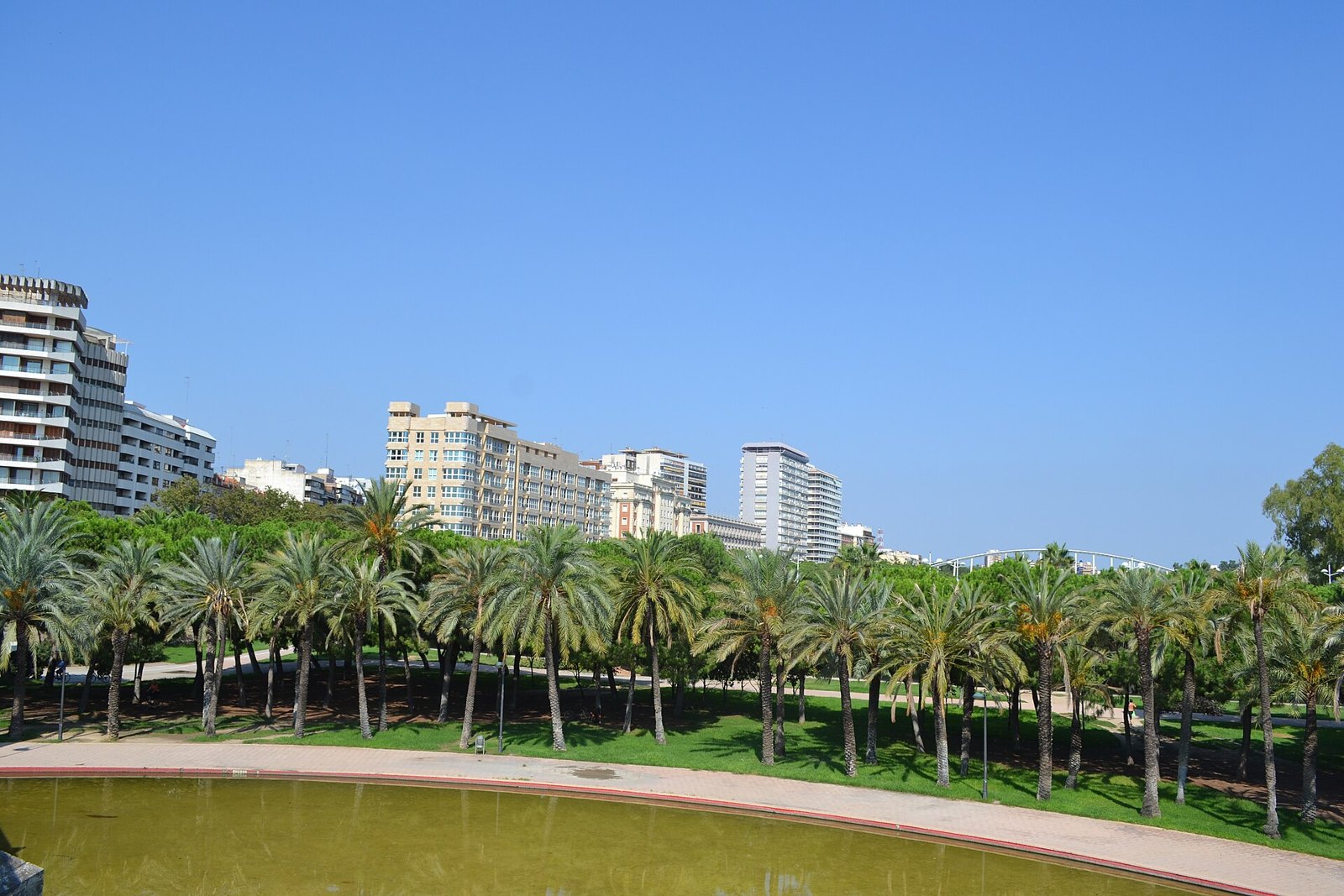 Palm trees and water beside Puente del Mar in Valencia’s Turia Gardens